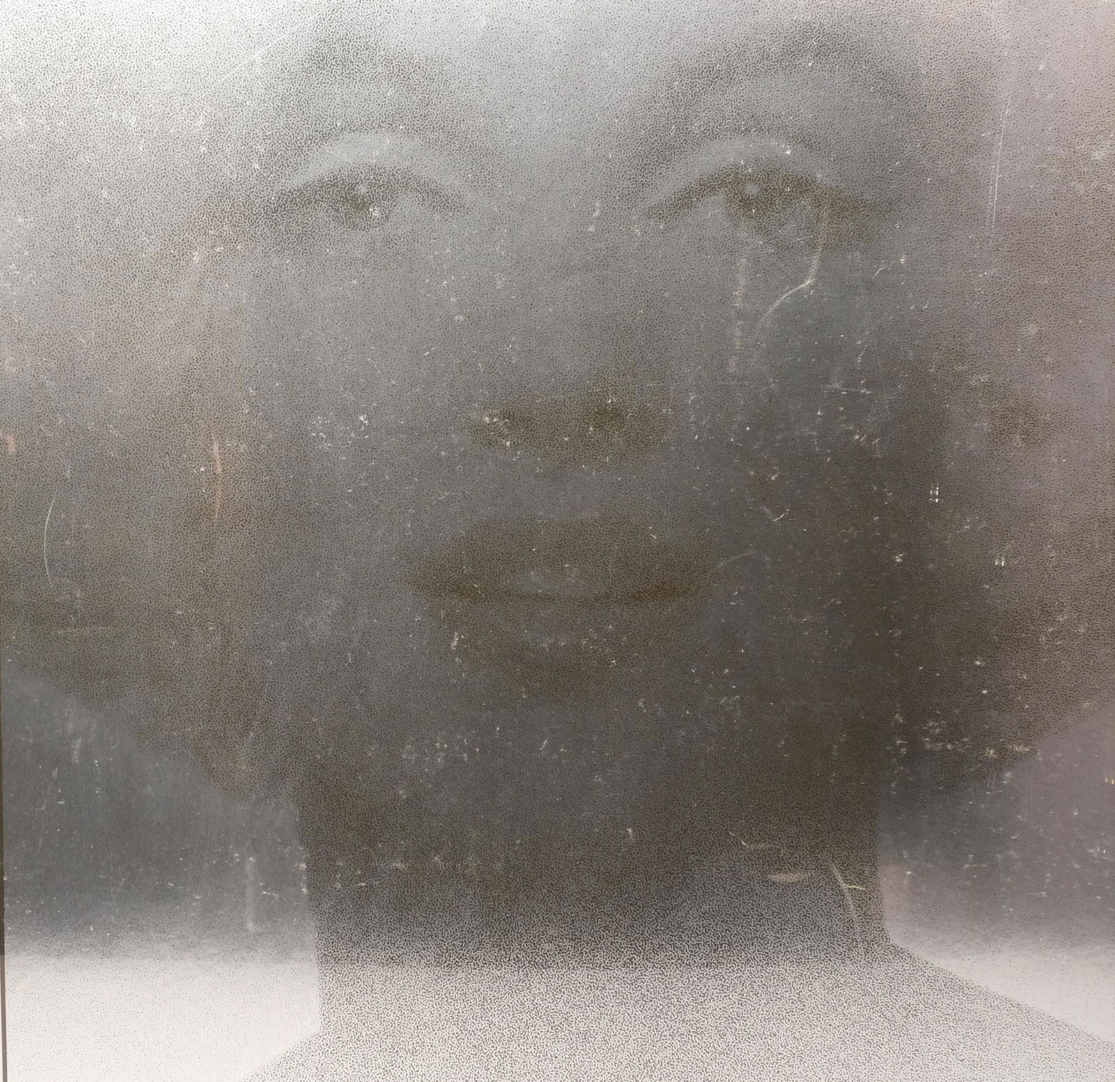 Bert Stern, Framed Marilyn Monroe In Silver (1 of 8)