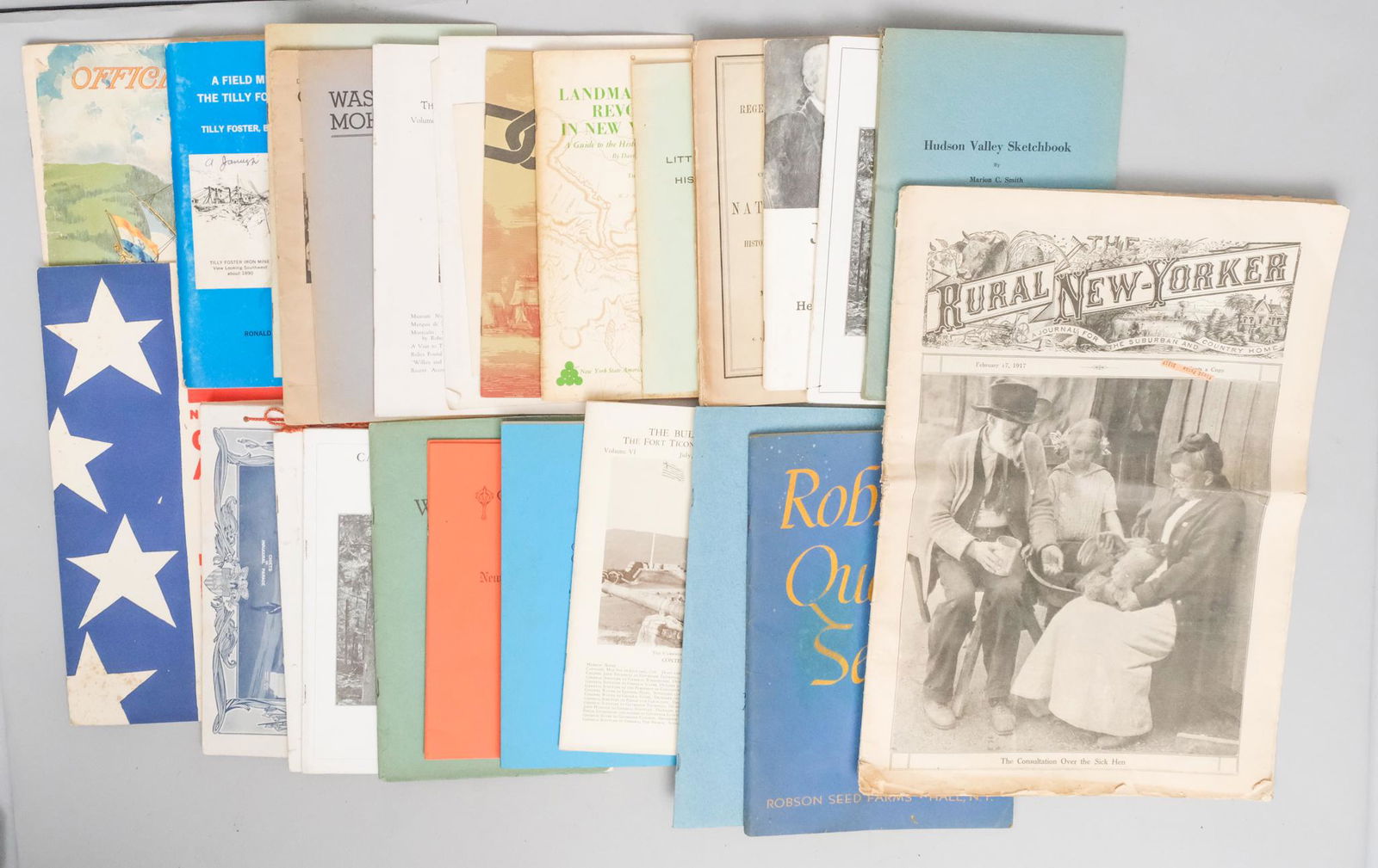 NYS Pamphlets (26 Items) (1 of 9)