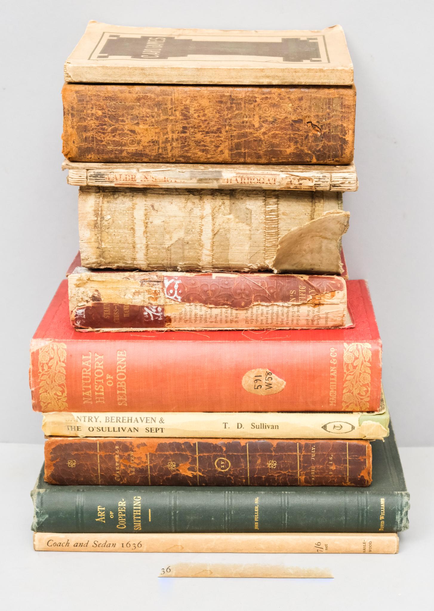 Antiquarian Book Lot (1 of 11)