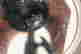 item-133077220=10