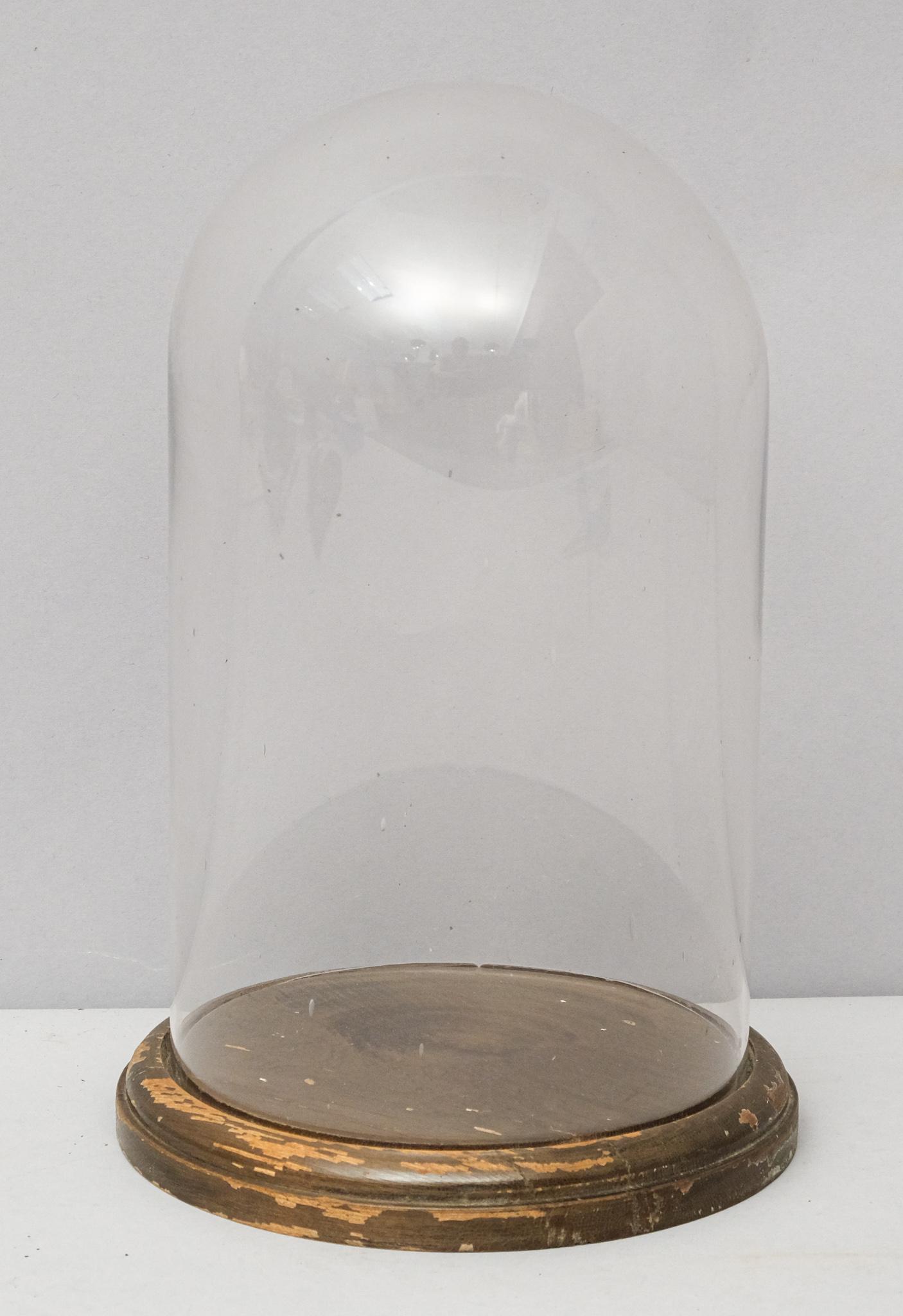 Antique Glass Display Dome with Wooden Base (1 of 8)