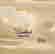 item-133077945=10