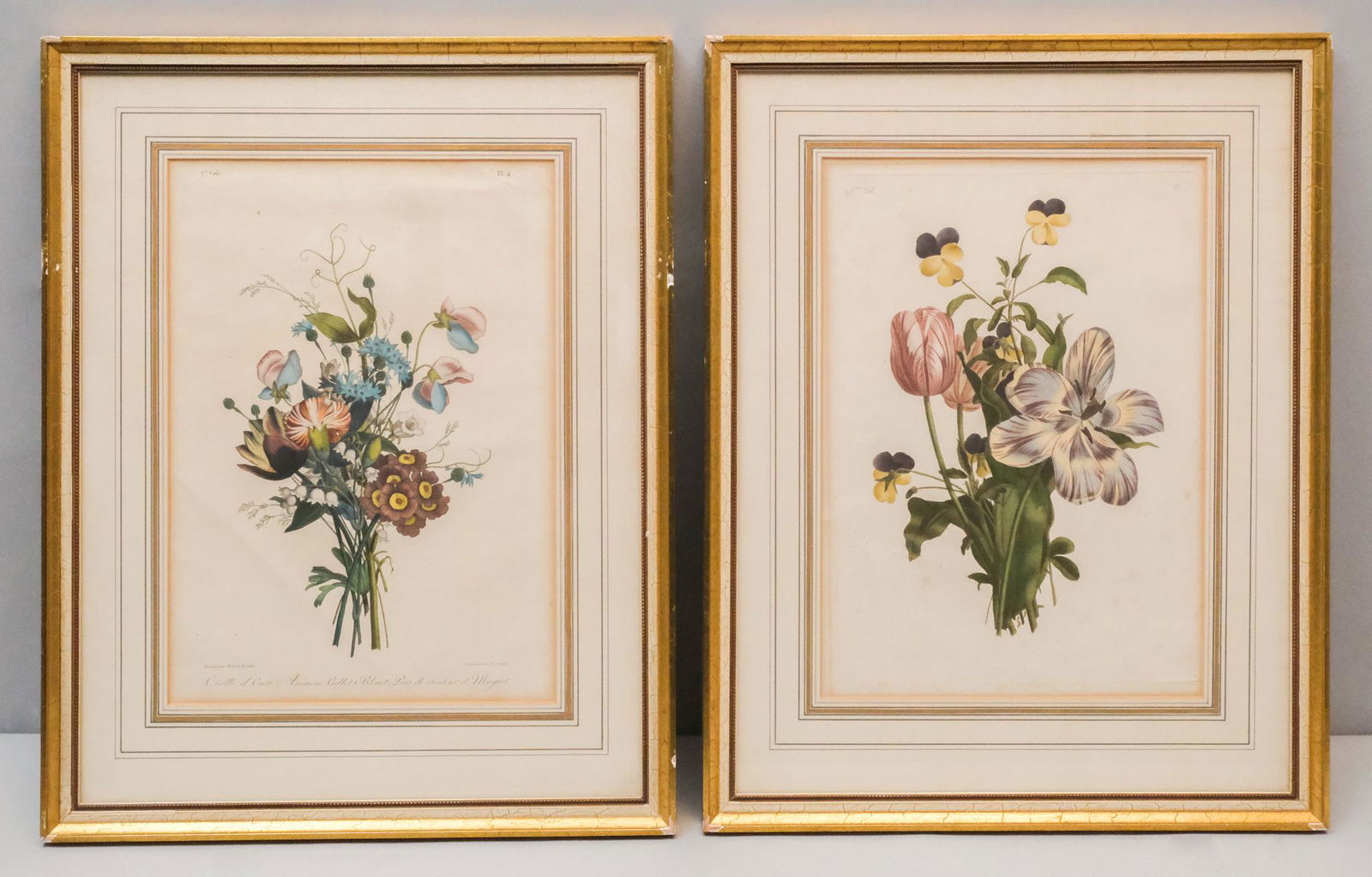 Two Framed Botanical Prints (1 of 6)