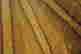 item-136401915=10
