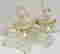 item-136402078=5