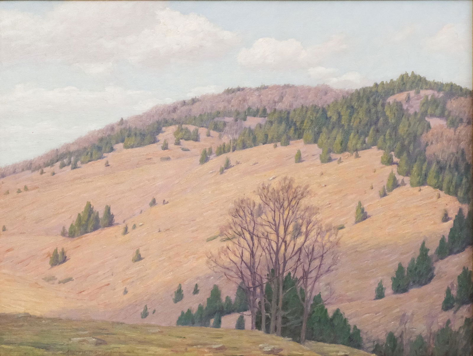 Andrew T. Schwartz, Hillside Landscape: Andrew Thomas Schwartz (American, 1867-1942), early 20th century oil on board depicting a hillside landscape in early spring, signed l.l., 22 1/4" x 29 1/4" board, 30" x 37" framed.