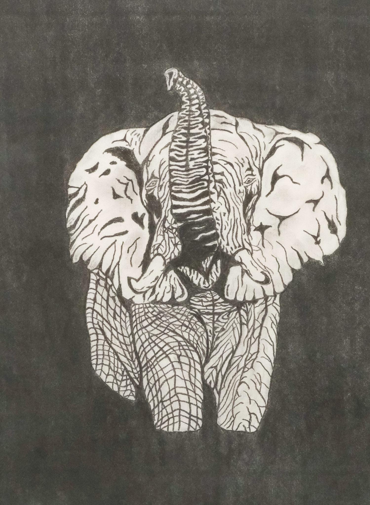 American School, Elephant: American, 2015, charcoal on paper depicting a stylized elephant, signed "L.P." and dated l.l., 17 1/4" x 23 1/2" sight, 25 3/4" x 32" framed.