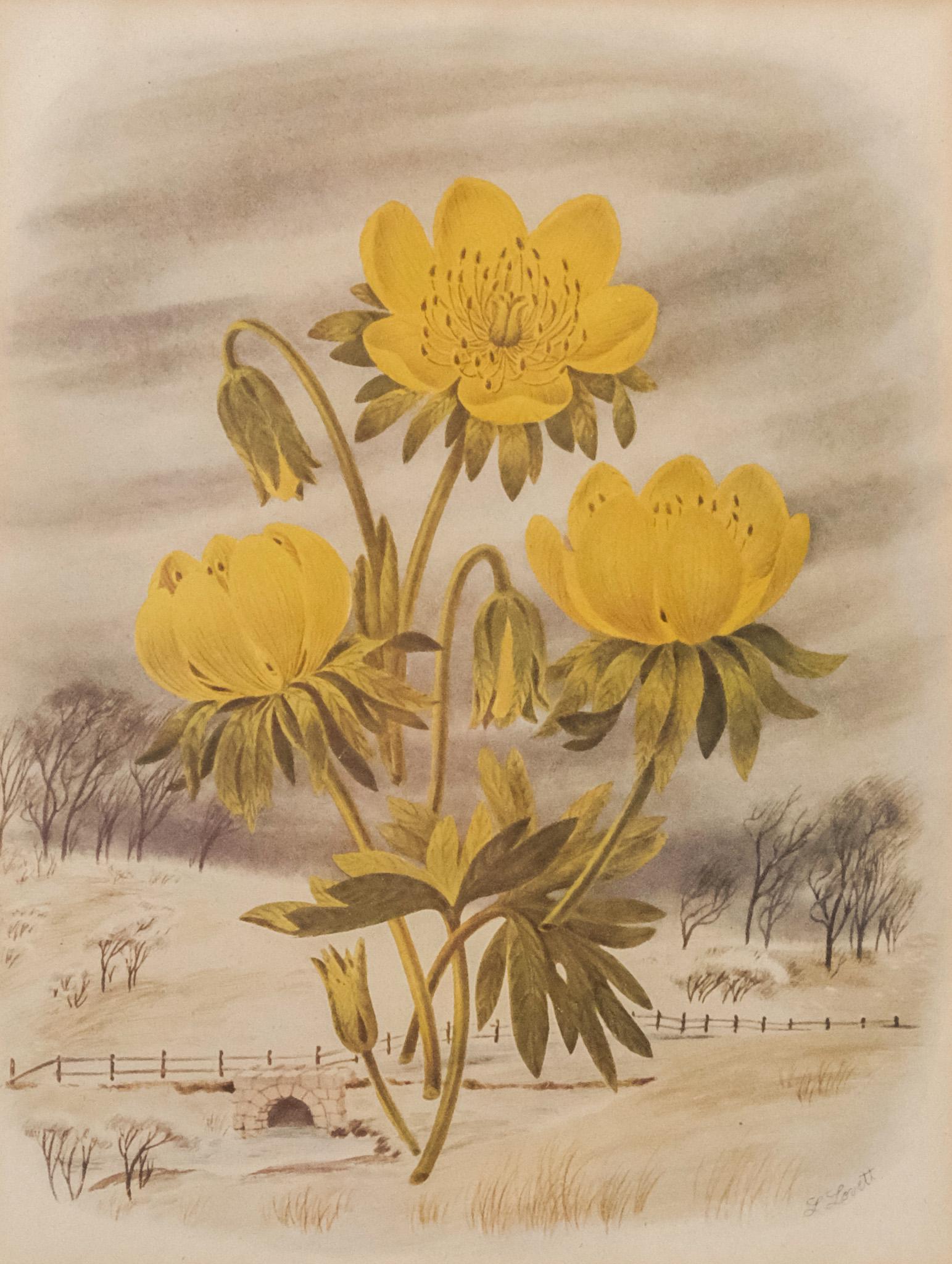 American School, Botanical Print (1 of 6)