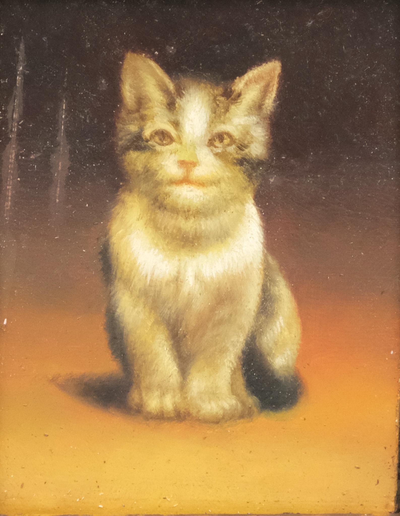 American School, Portrait of a Kitten (1 of 6)