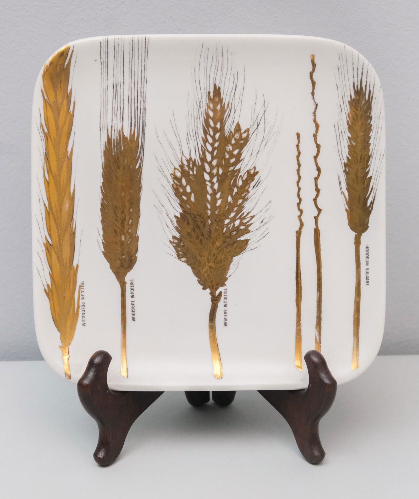 Vintage Fornasetti Ceramic Plate Wheat Specimens (1 of 7)