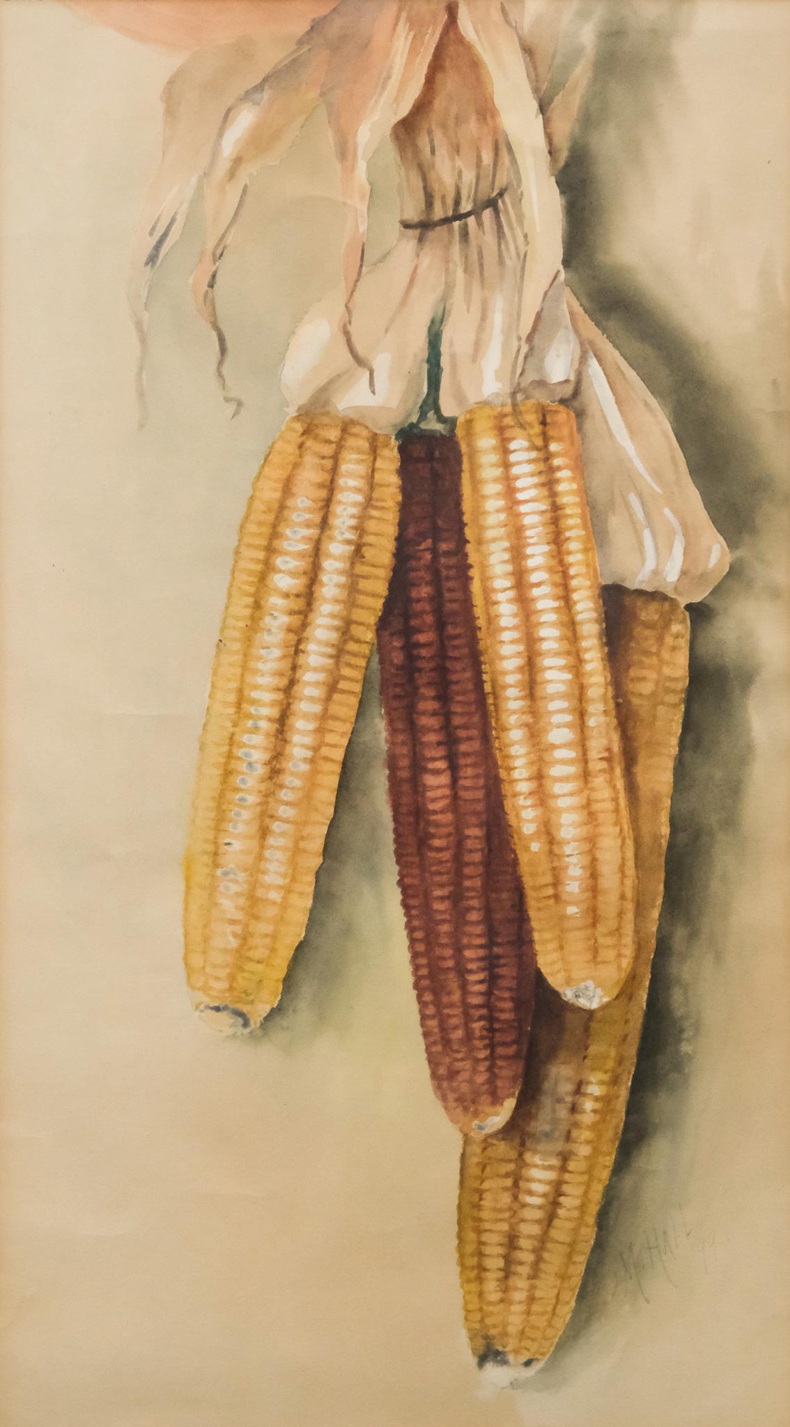 American School, Maize (1 of 4)