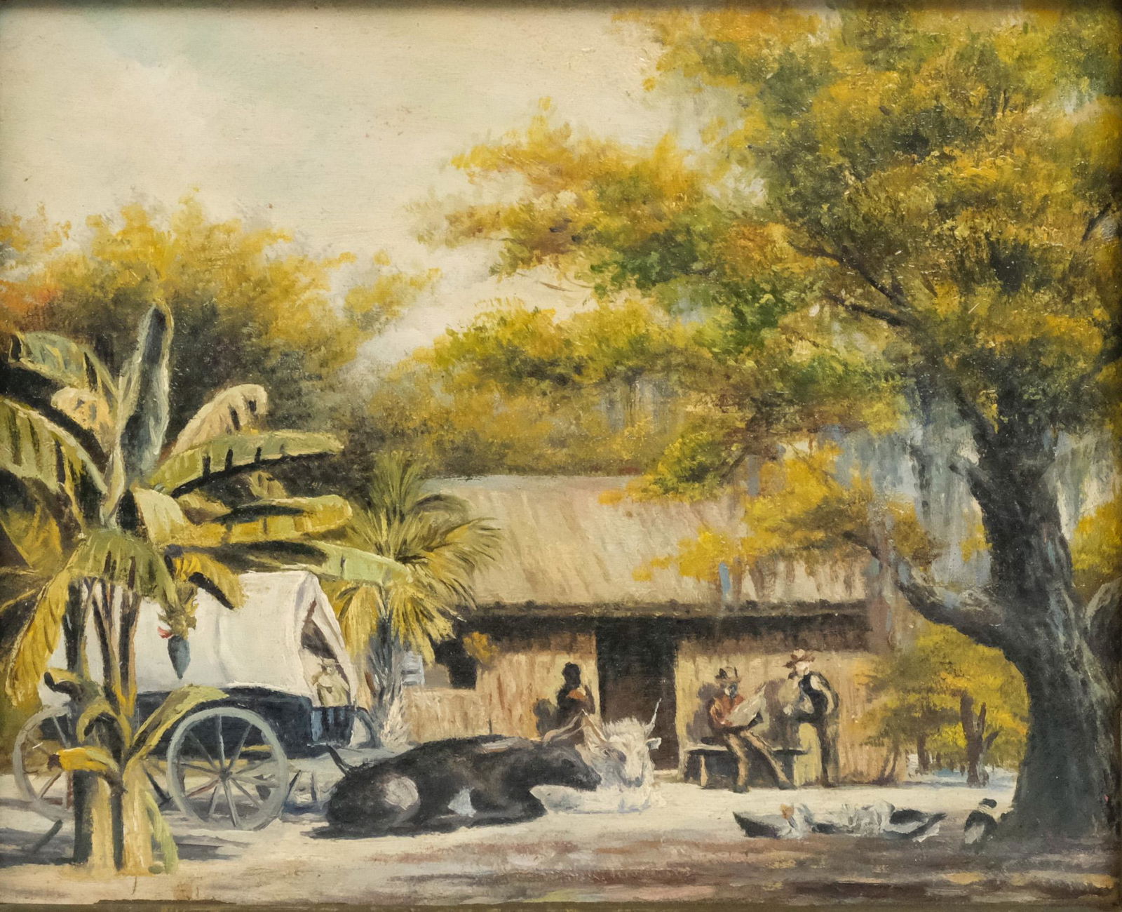 American School, "Nassau, Bahamas" (1 of 5)