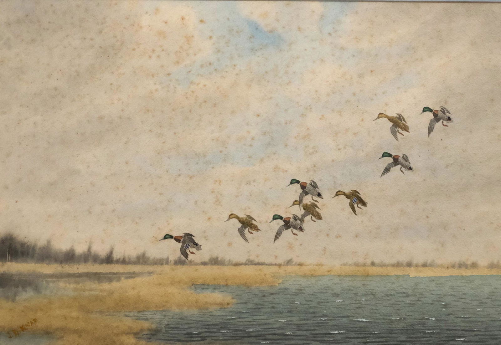 Joseph D. Knap, Ducks Landing in a Marsh (1 of 6)