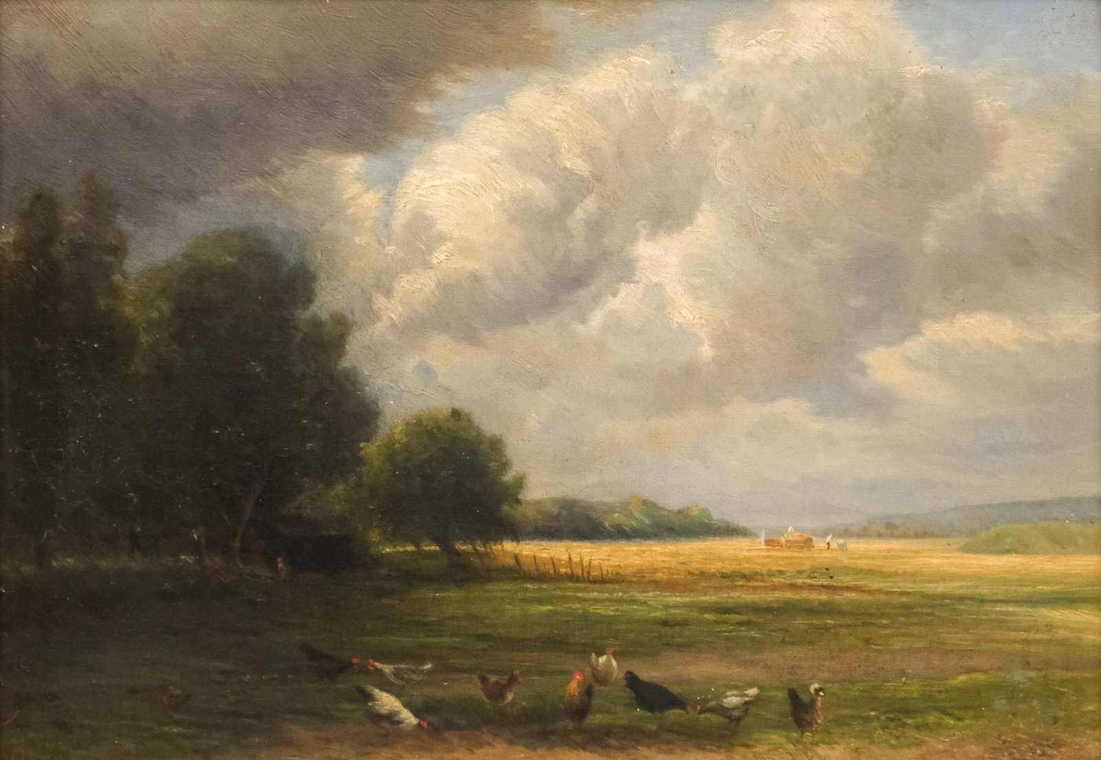 American School, Free Range Chickens (1 of 6)