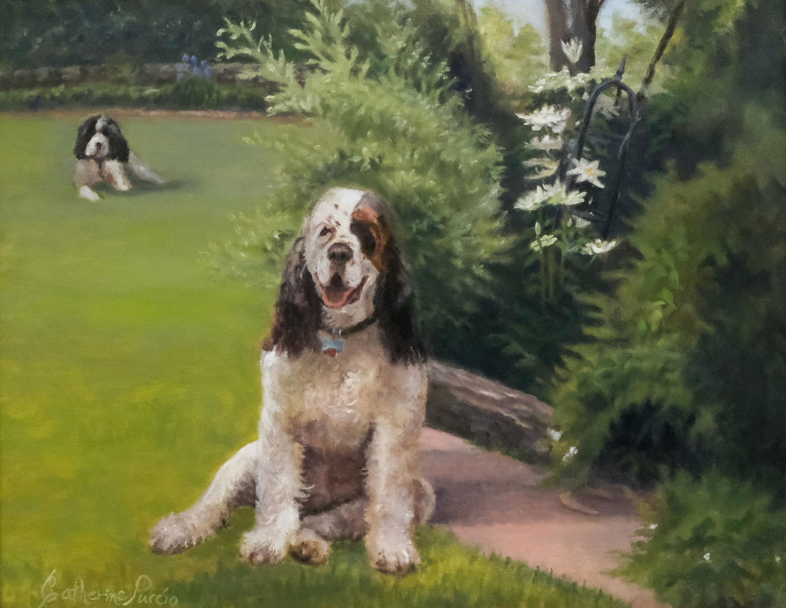 Catherine Puccio, Two Spaniels in a Yard (1 of 6)