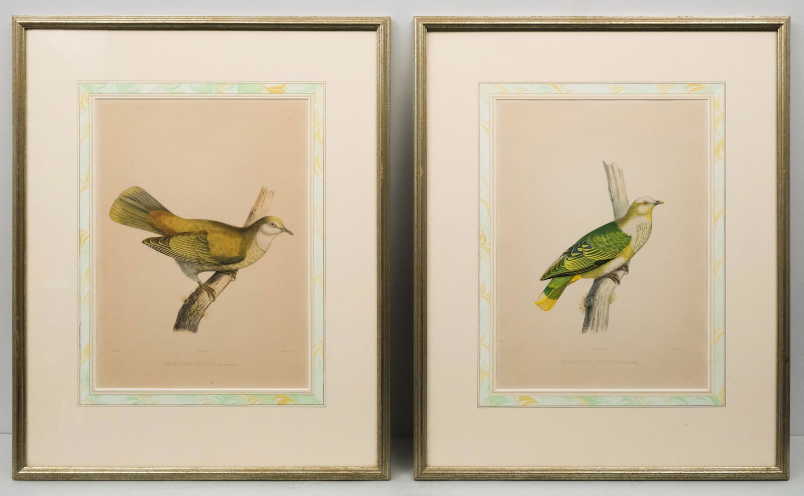After Paul Louis Oudart, Pair of Bird Prints (1 of 13)