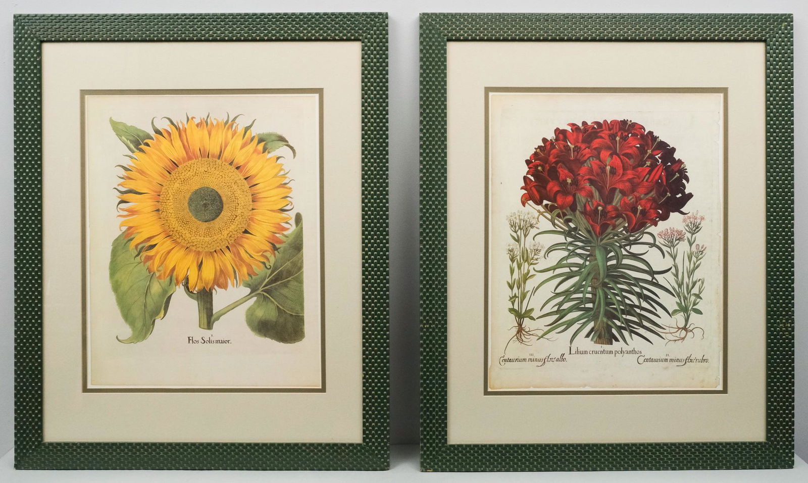 Pair of Floral Prints (1 of 11)