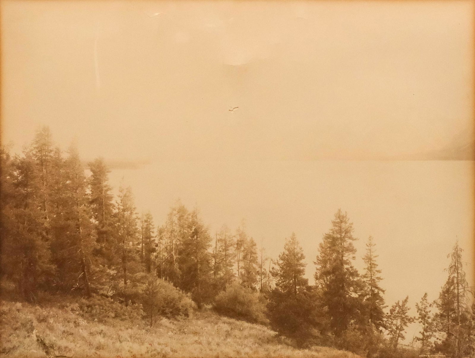 William Henry Jackson, Expedition Photograph (1 of 5)