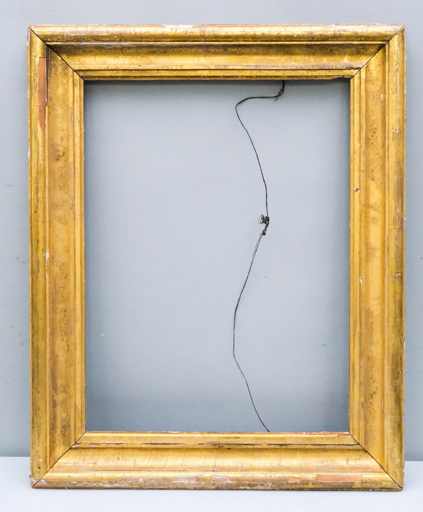 American Lemon Gold Frame 18 1/4" x 24" (1 of 4)