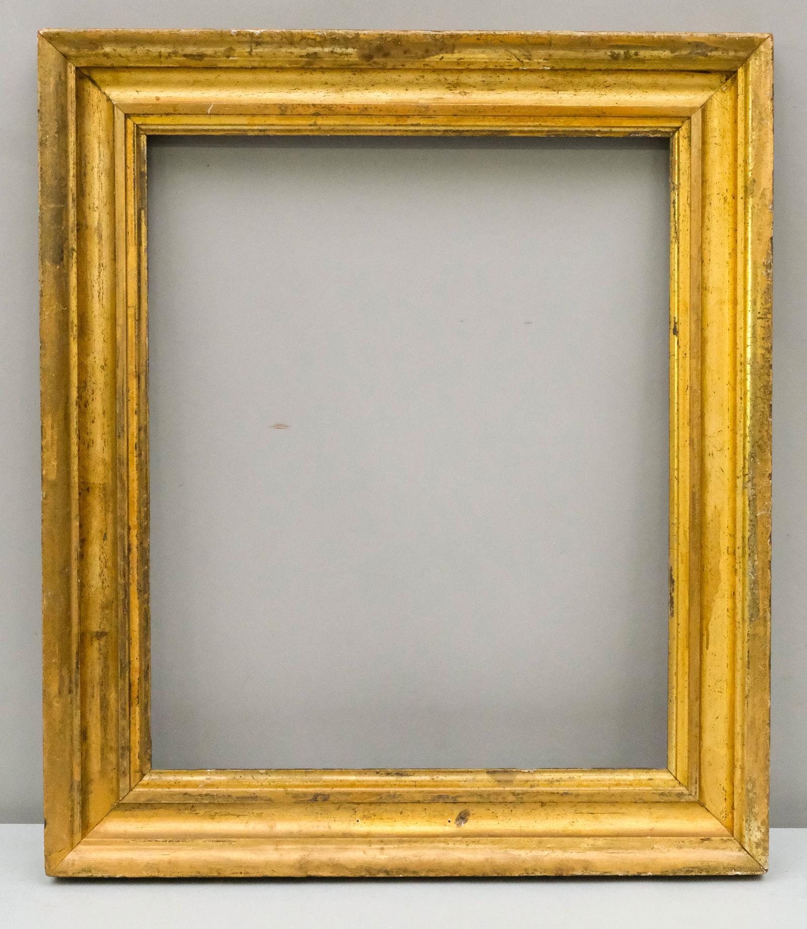 American Lemon Gold Frame 13" x 16" (1 of 4)