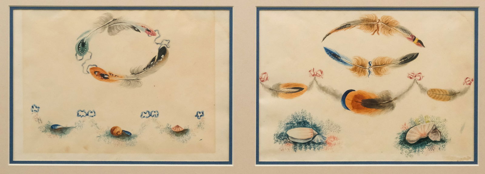 British School, Feathers and Shells: British, 19th century watercolor on paper depicting various feather, seashell and ribbon patterns, 6 1/2" x 9 1/4" sight size, 15 1/2" x 27 1/4" framed.