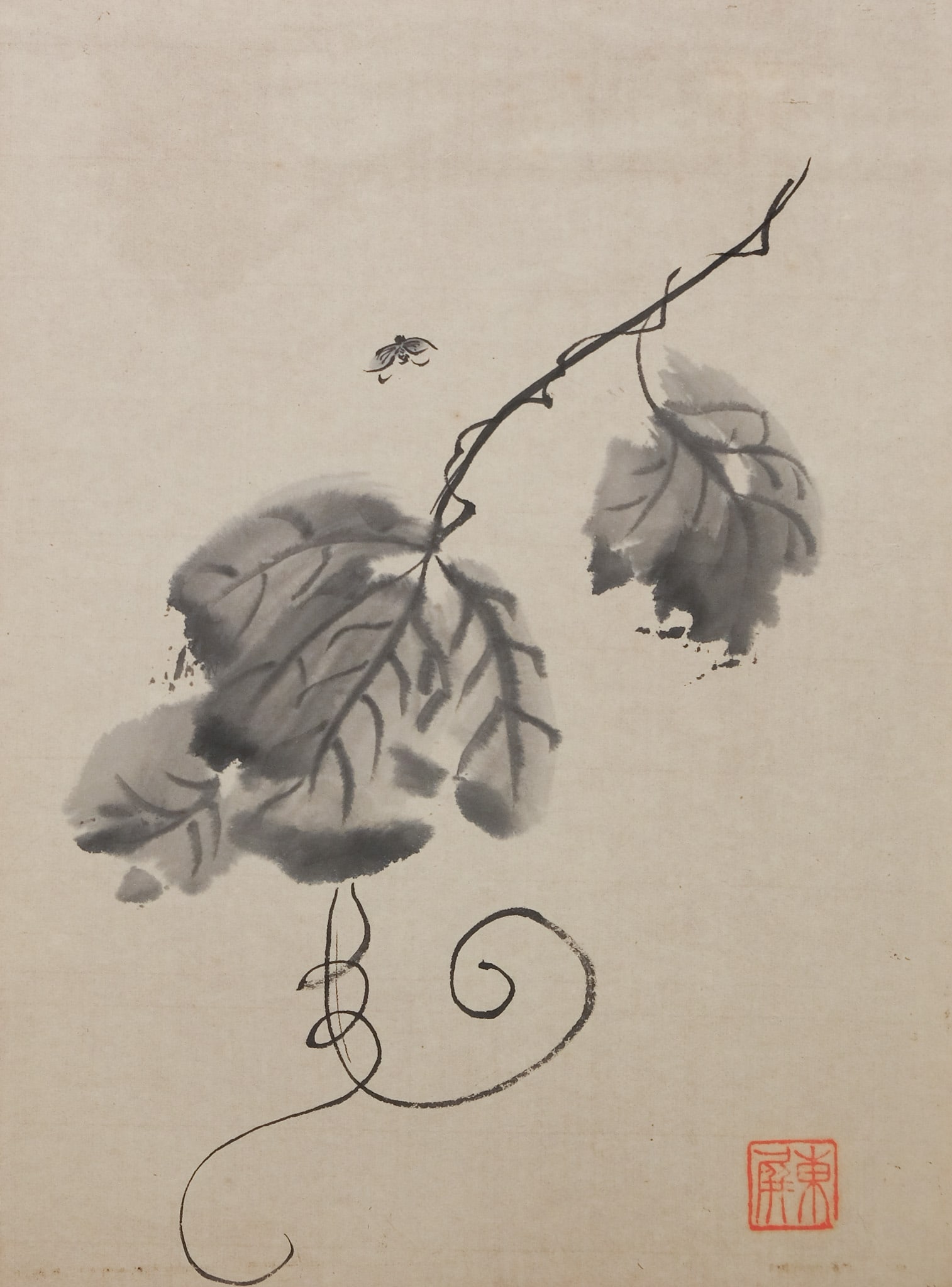Chinese School, Grape Vine with Fly: Chinese, 20th century blue and black ink on paper depicting a grape vine hanging, a fly just beyond its leaves, 14" x 10 1/2" sheet size.