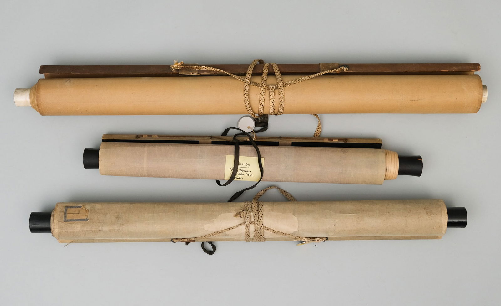 Japanese School, Various Botanical Kakejiku (1 of 5)