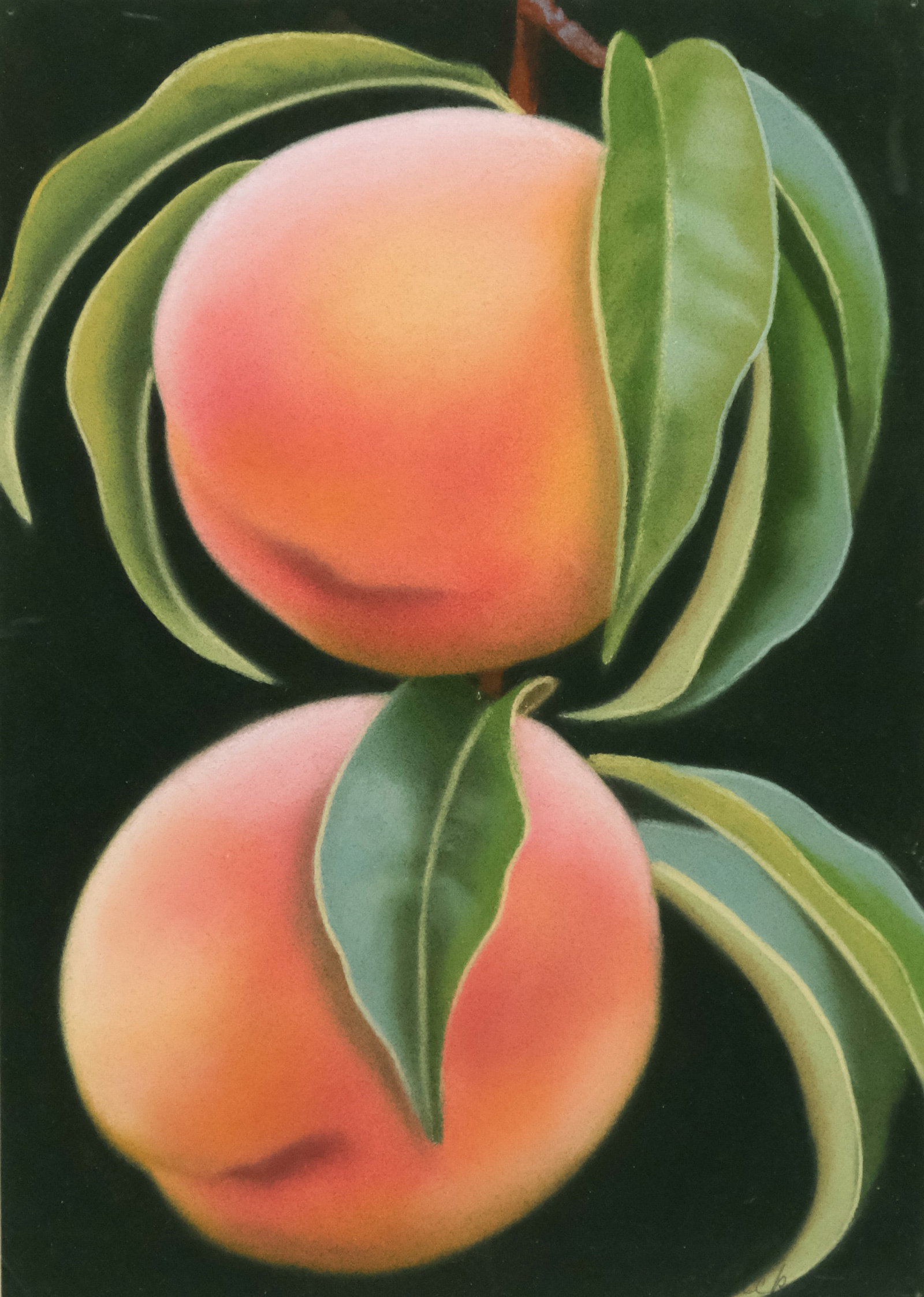 Elizabeth Rickert, Peaches: Elizabeth Rickert (American, born 20th century), 1993, pastel on paper depicting two peaches on a black ground, signed and dated l.r., 14" x 9 3/4" sheet size, 21 1/4" x 17" framed.