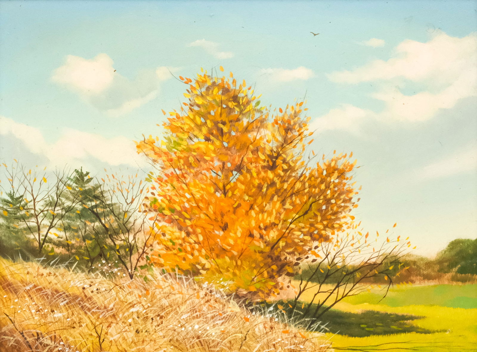 Gary Ampel, Autumn Landscape (1 of 6)