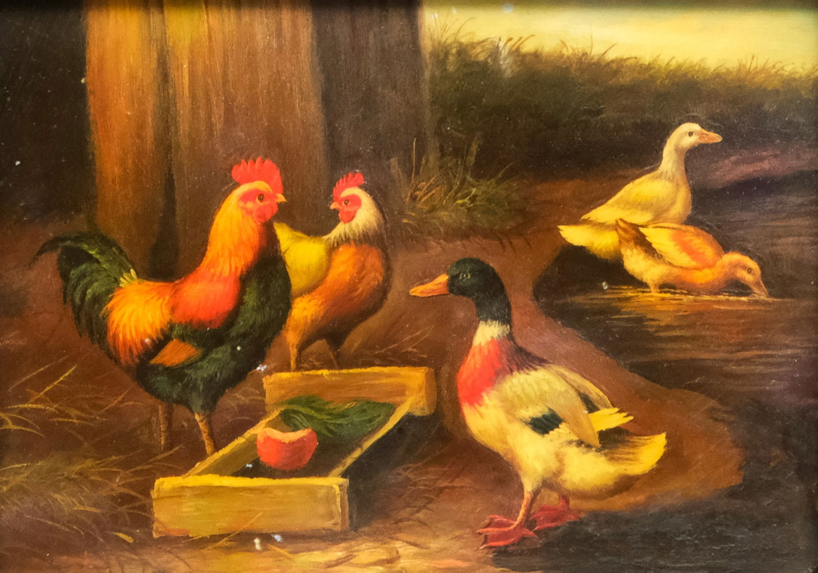 American School, Ducks and Chickens (1 of 4)