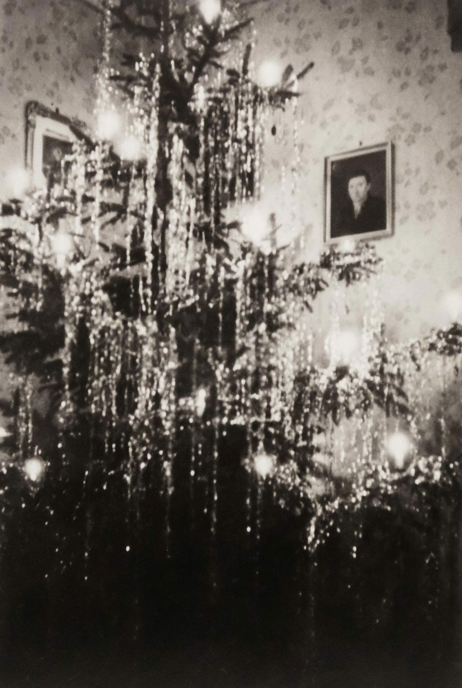 American School, Christmas Tree Photograph (1 of 5)