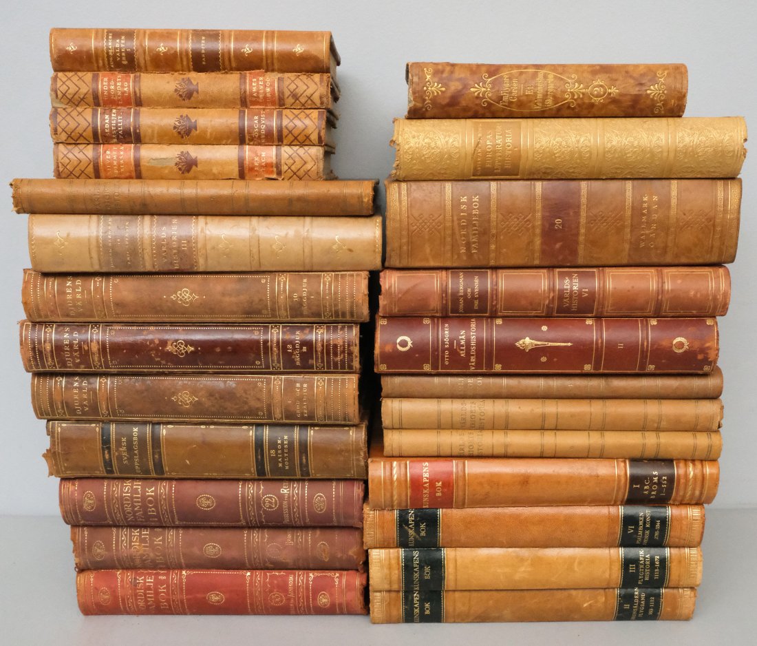 Lot of Swedish Books (1 of 17)