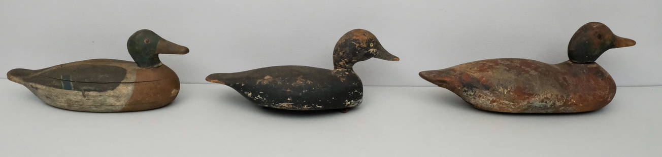 Three Antique Carved Wood Duck Decoys: Nicely painted, two with glass eyes. 13" to 15 3/4".