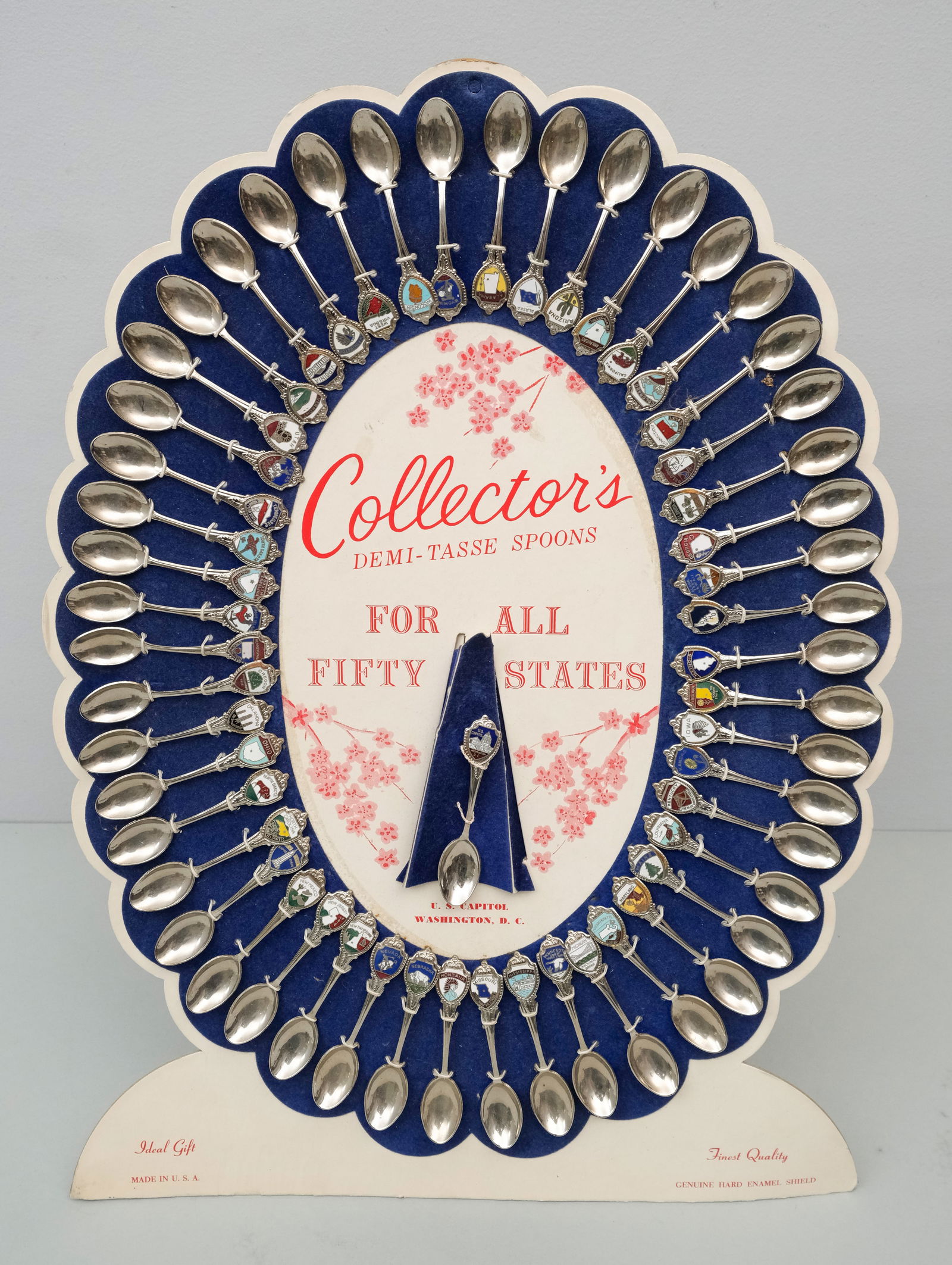 Vintage Collectible State Souvenir Spoons Display (1 of 5)