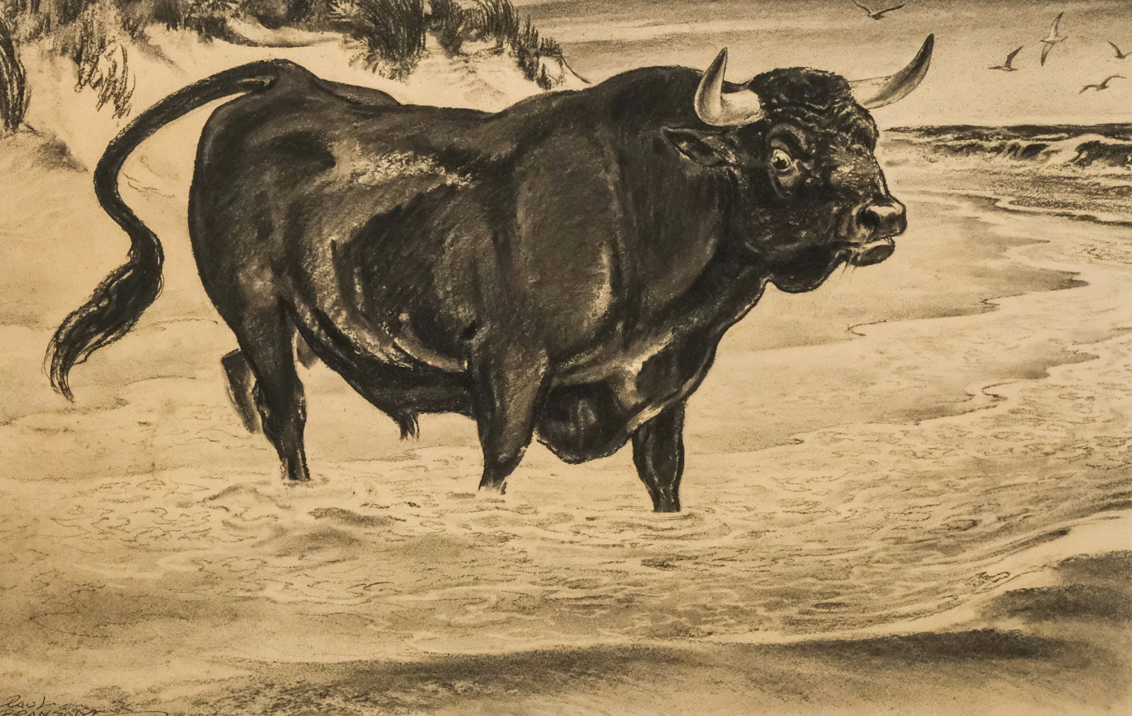Paul Bransom, "The Island Feud": Paul Bransom (American, 1885-1979), charcoal on paper depicting a bull at the edge of the water, signed l.l., titled verso, 13 3/4" x 21 1/4" sight size, 24 1/4" x 28 1/4" framed.