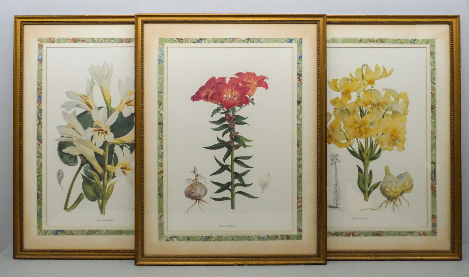 Lot of Three Botanical Prints (1 of 16)