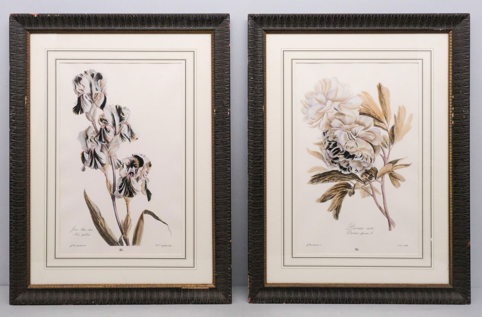 Pair of Botanical Prints (1 of 10)