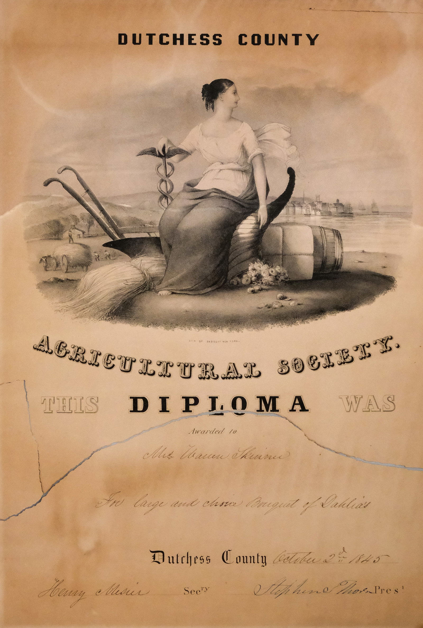 Dutchess County Agricultural Society Diploma: 1845 Dutchess County Agricultural Society diploma awarded to Mrs. Warren Skinner for her "large and choice bouquet of dahlias", 17 1/4" x 12 1/4" sheet size.