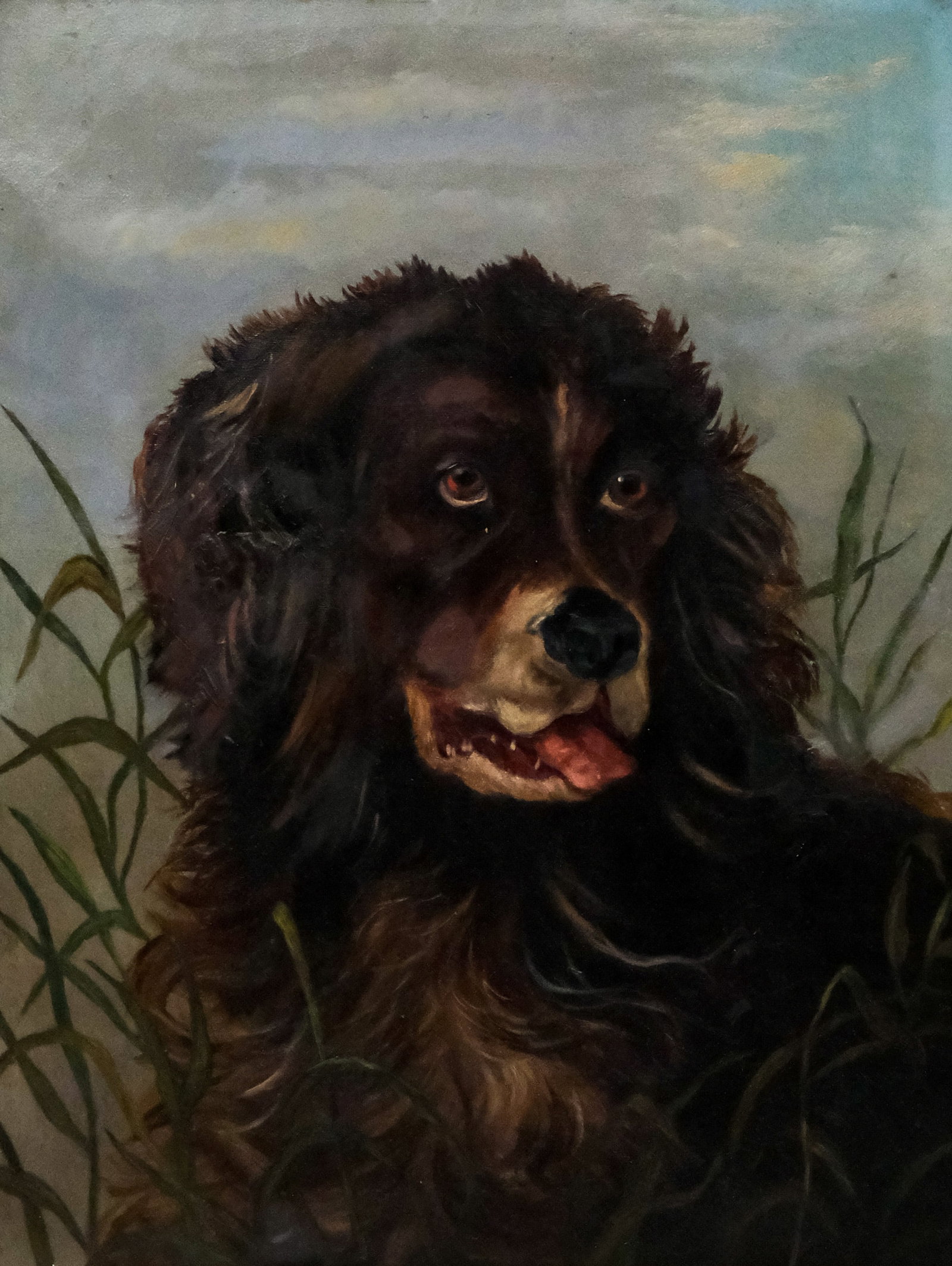 American School, Portrait of a Dog: American, 19th century oil on canvas depicting a brown spaniel in the grass, 17" x 13" canvas, 23" x 18 3/4" framed.