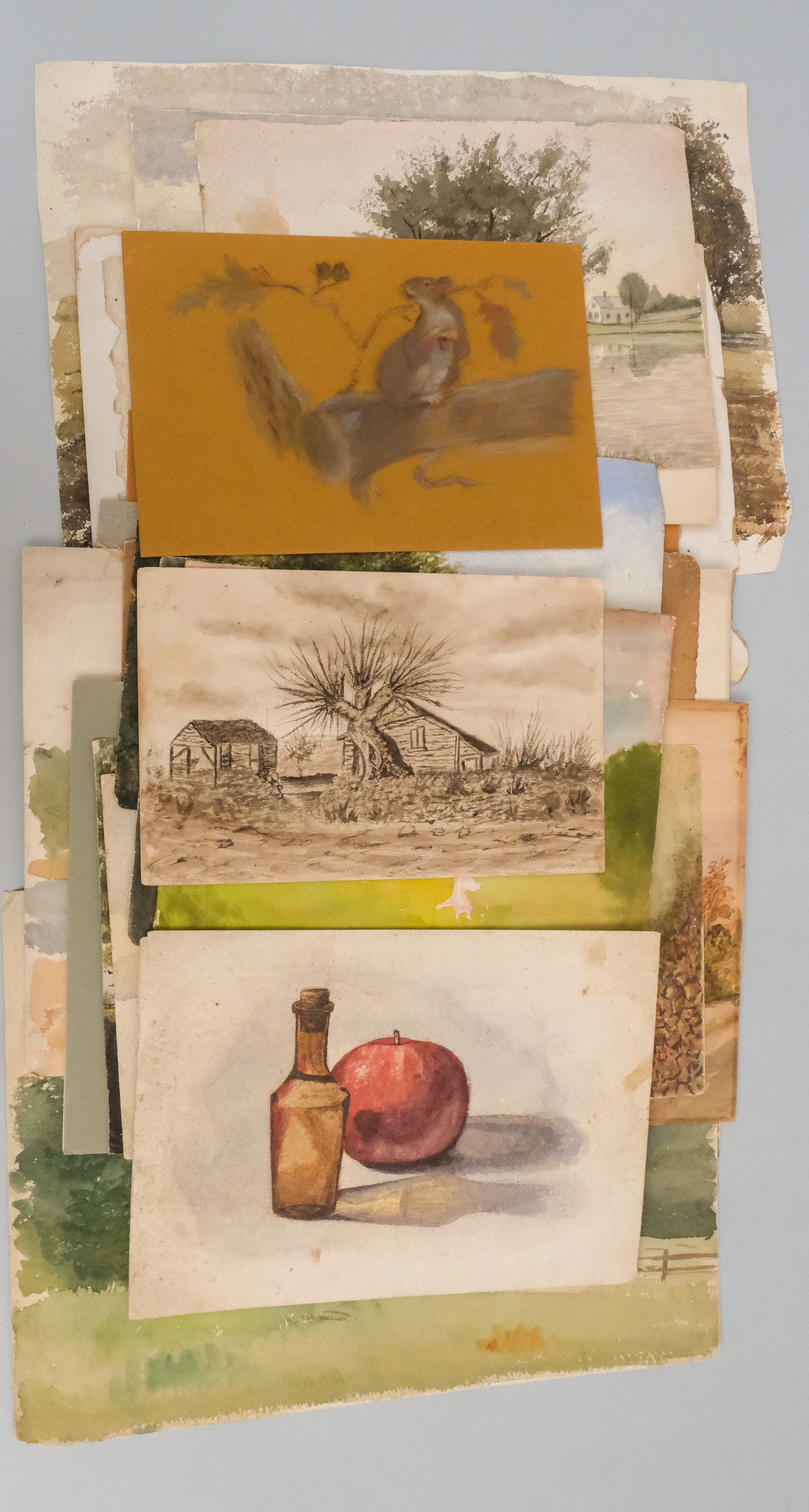 Group of Various Landscapes: Group consisting of various sketches, watercolors, pastels, including a lovely pastel portrait of a squirrel; a series of graphite sketches of interiors, architecture and landscape; a graphite and wat