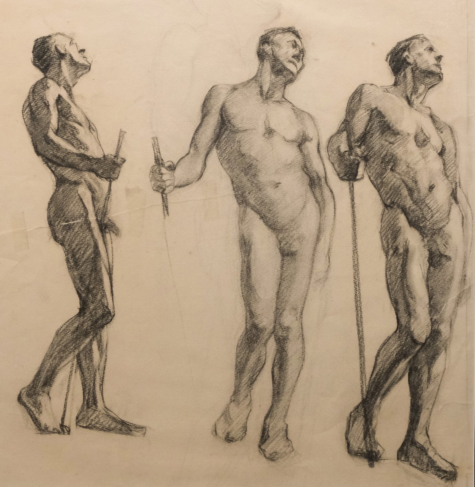 American School, Anatomical Study: American, 20th century charcoal on paper depicting a nude study of a man at three different angles, 18 1/4" x 18" sight size, 22" x 21 3/4" framed.