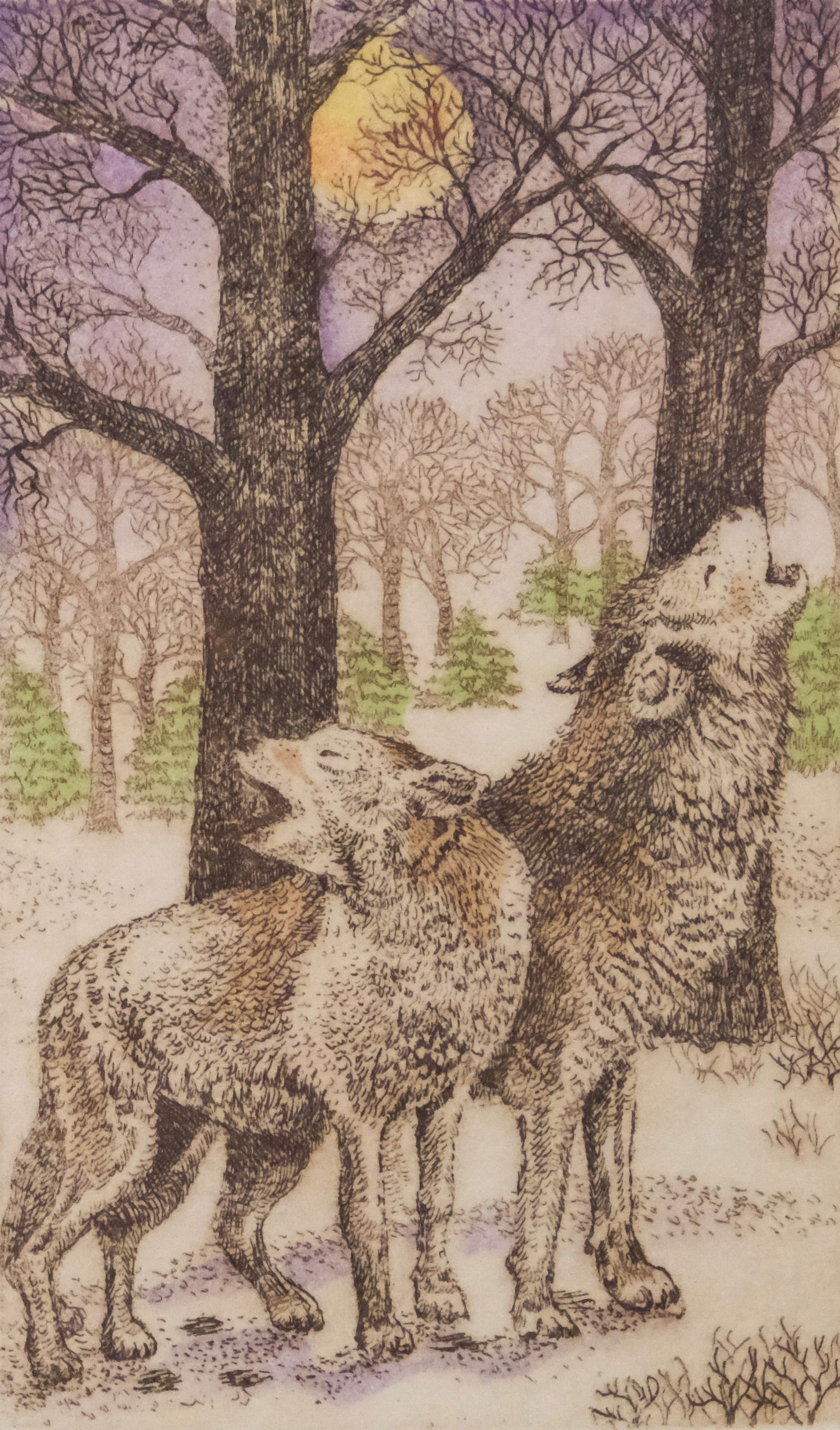 Rachel Badeau, "Night Howl": Rachel Badeau (American, 20th century), etching on paper depicting two wolves howling in the forest, the matting decorated with raised tree impressions, numbered "126/350" l.l., titled l.c., signed in