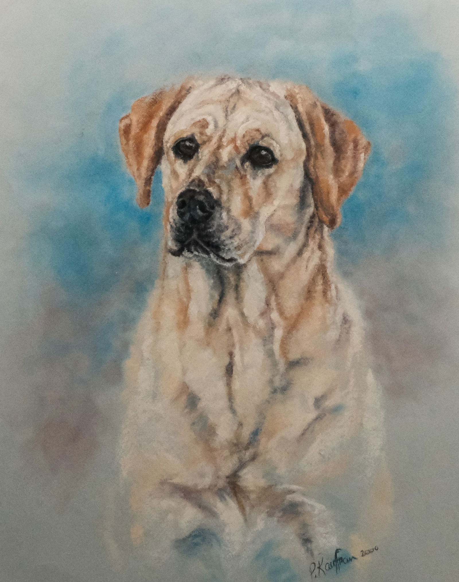 Peggy Kauffman, Portrait of a Dog Named Wanderlust (1 of 5)