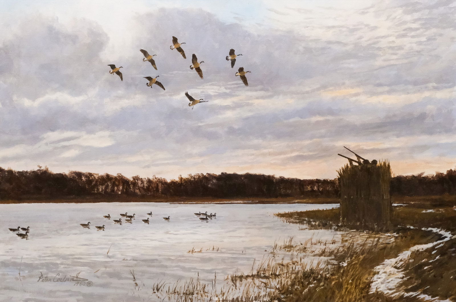 Peter Corbin, Geese In Flight Landscape (1 of 5)