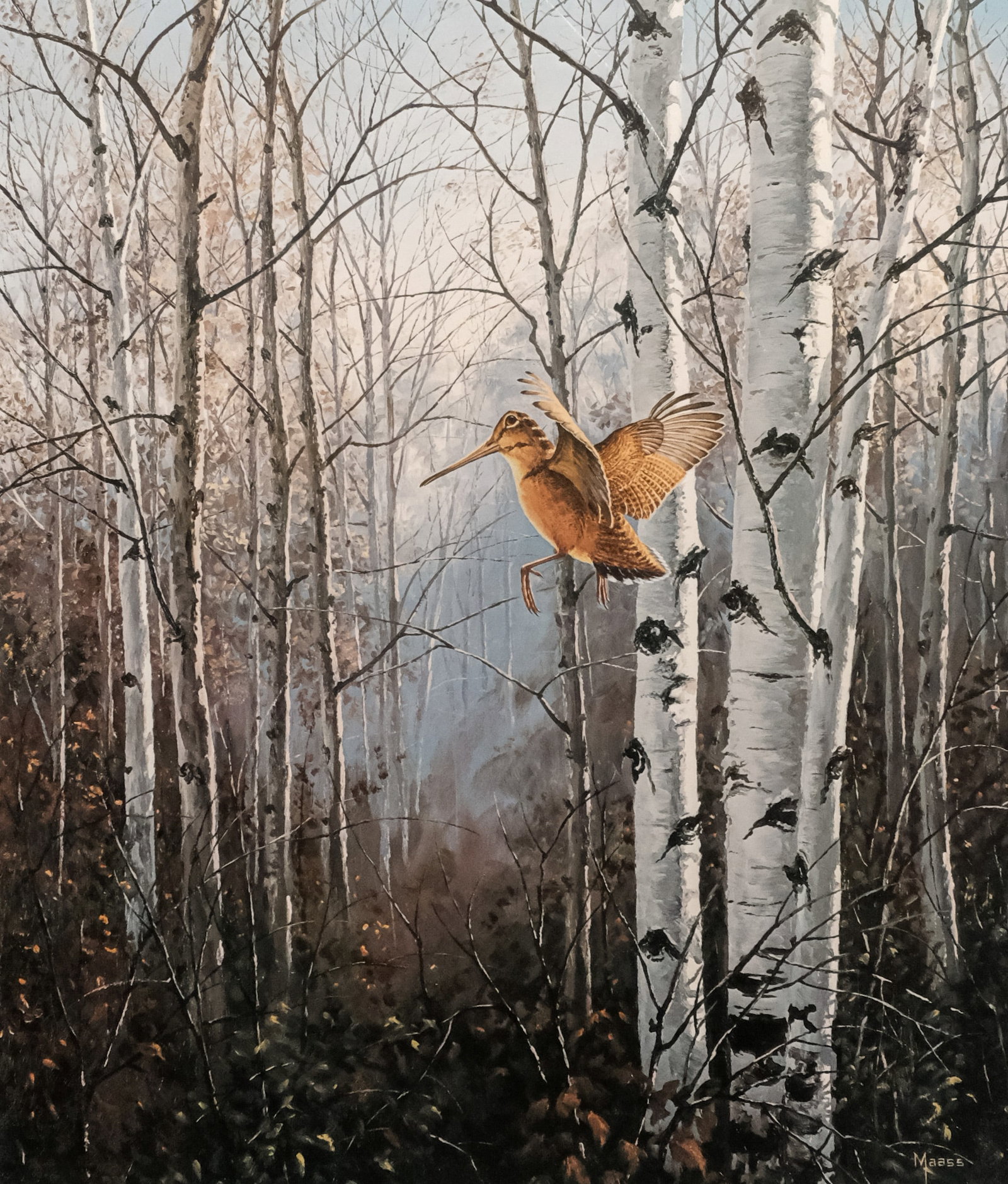 David A. Maass, "Misty Morning - Woodcock" (1 of 5)