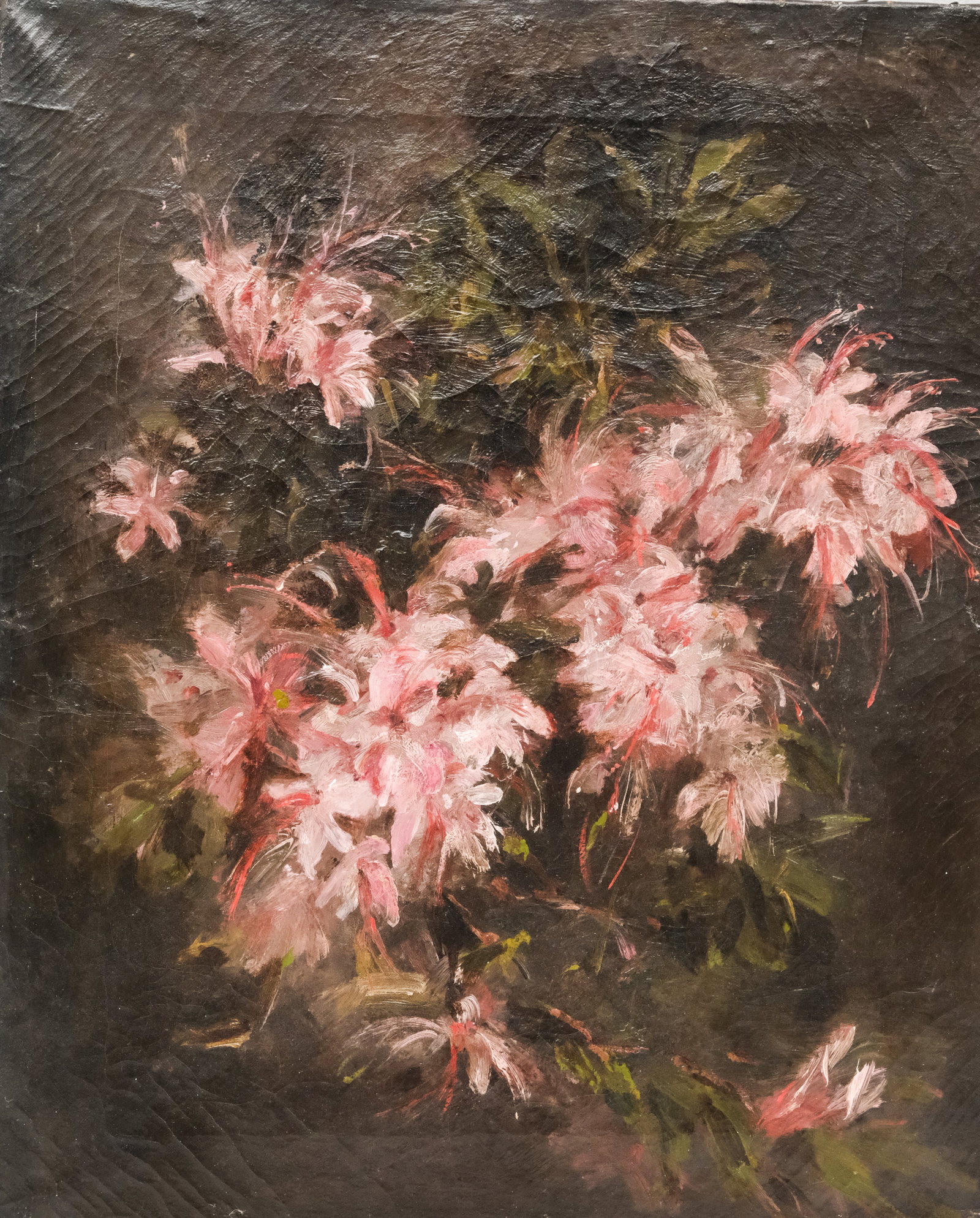 American School, Floral Still Life: American, ca. 1860, oil on canvas painting of pink flowers, 13" x 16" canvas, unframed.