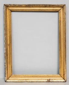 American Lemon Gold Frame 17 1/2" x 23 1/2"