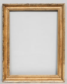 American Lemon Gold Frame 17 1/2" x 23 1/2"