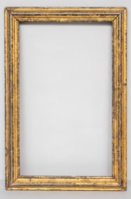 American Lemon Gold Frame 16" x 26 1/2"