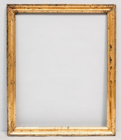American Lemon Gold Frame 15 3/4" x 19 3/4"